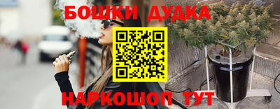 a pvp Новодвинск