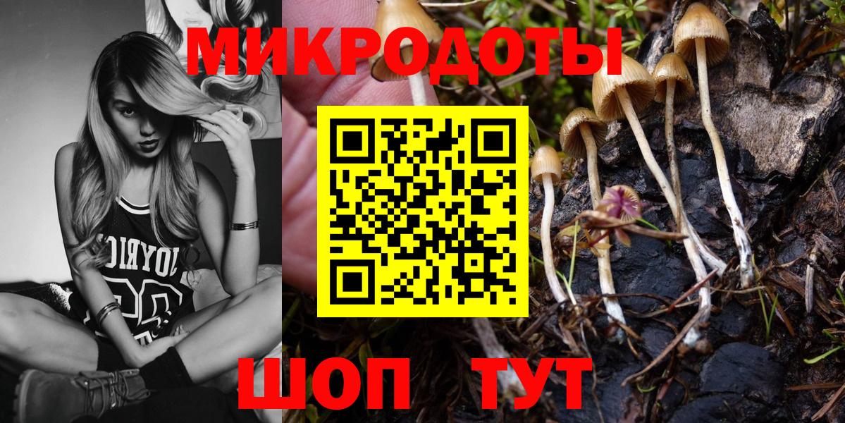 Шали  Псилоцибиновые грибы ЛСД  где купить наркоту  Вход с VPN 