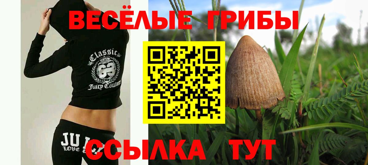 Галлюциногенные грибы мицелий Шали